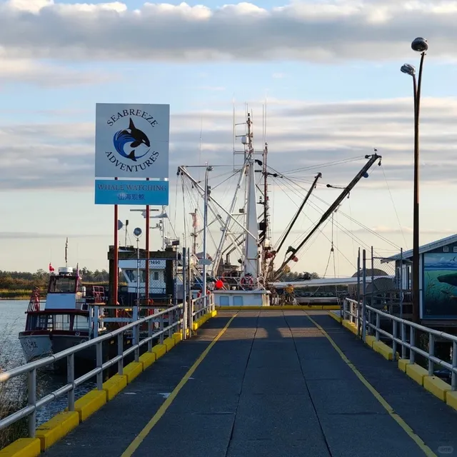 🇨🇦 Steveston Fisherman's Wharf | Sunset & Seafood Delight 🌅