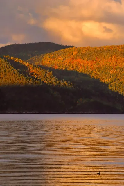 🇨🇦 Quebec’s Saguenay Fjord National Park | One of Canada’s Most Stun