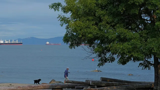 🇨🇦 Vancouver’s Best Urban Hike | Kits to Gastown 🚶♀️✨