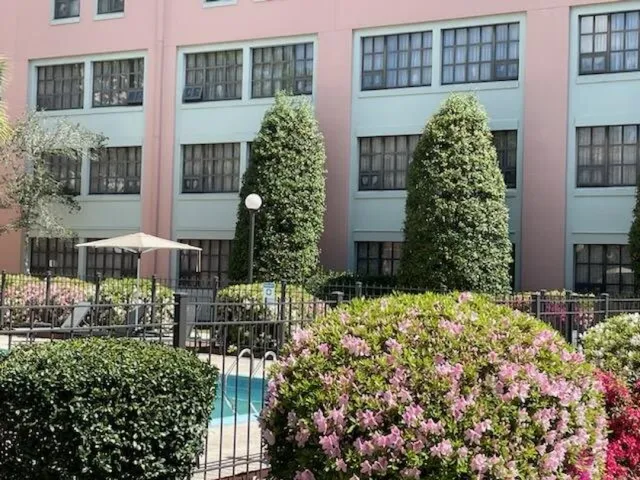 My 50th Birthday Celebration in NOLA! 🎉🥳