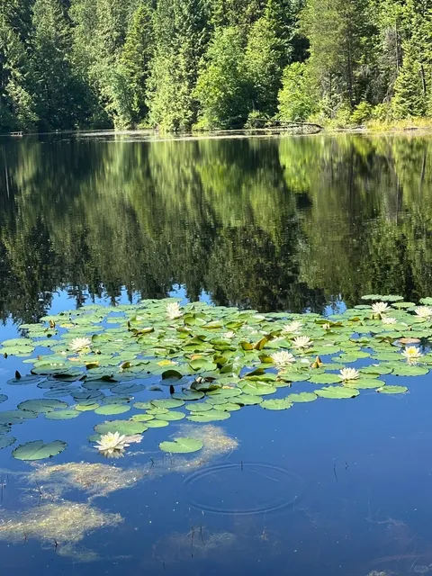 ☀️ Today at Coquitlam's Mundy Park