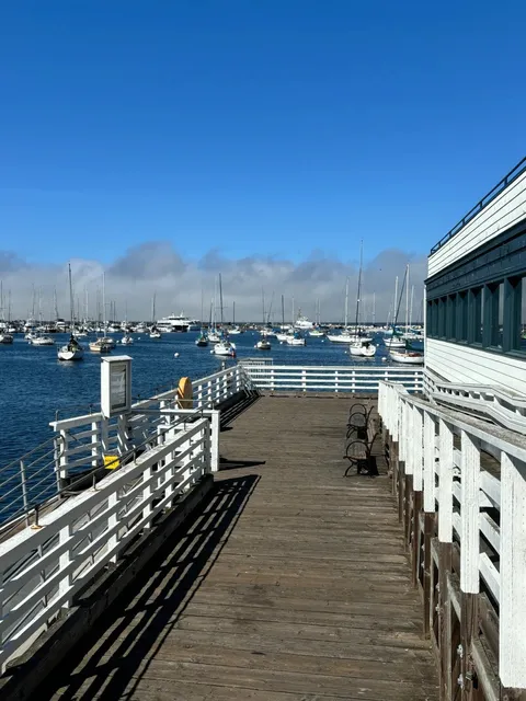San Carlos Beach | Watching the Sea Lions Lounge