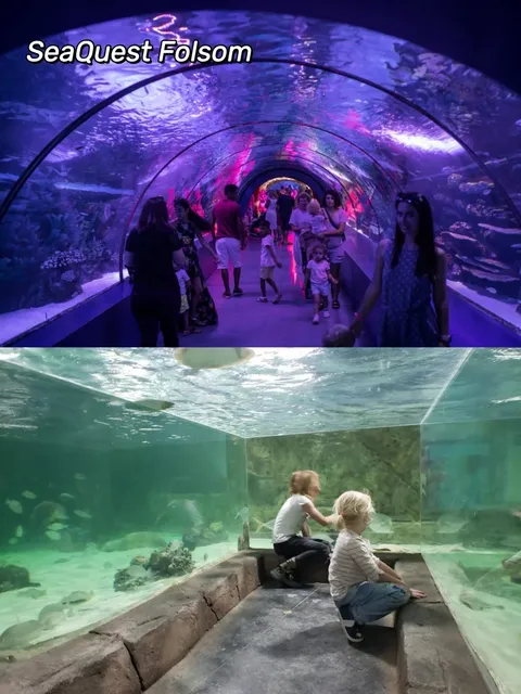 🇺🇸 Folsom Travel Guide