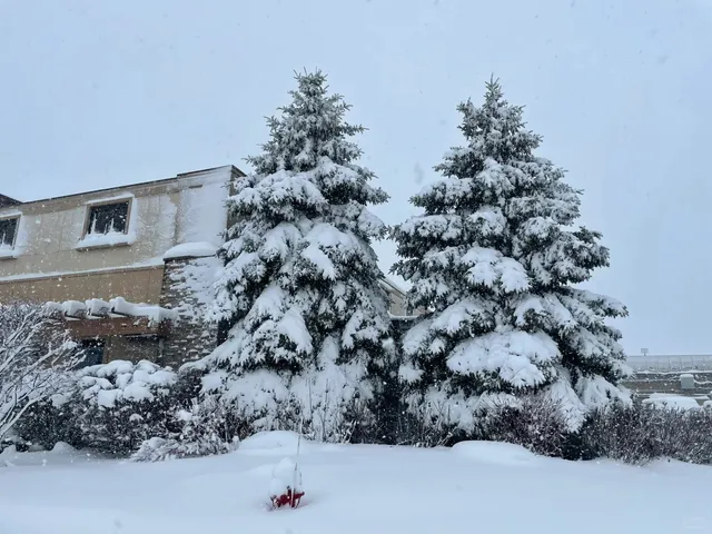 Milwaukee | How Good Must a Restaurant Be to Brave a -25°C Blizzard Fo