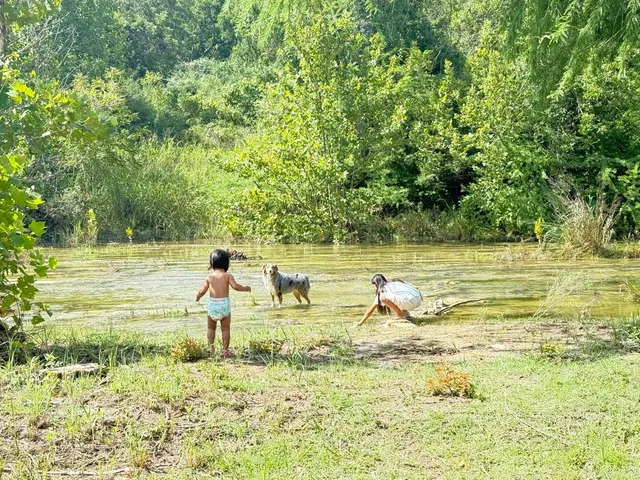 🏞️ Houston | Who Says Texas Has No Summer Escapes?