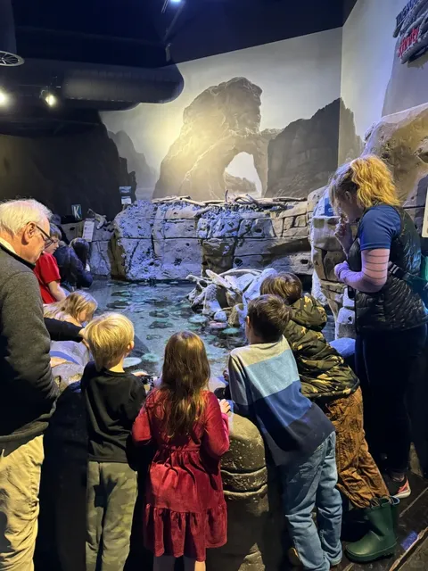 Salt Lake City Aquarium 🌊 A Perfect Spot for Family Fun! 👨👩👧👦✨  