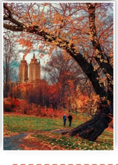  The Ultimate Guide to Autumn Leaf Viewing in New York(1)