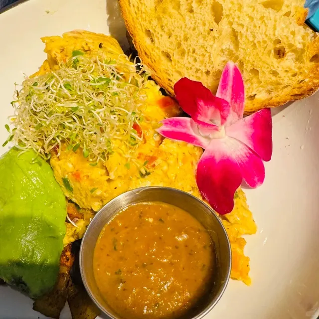 Pacha Collective | My Newfound Love for Healthy 