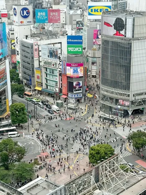 Shibuya Scramble Crossing 🚶‍♂️📷 Ultimate Guide