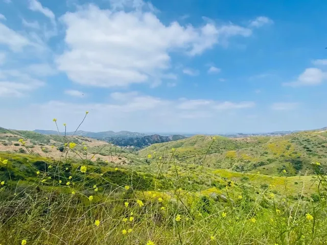 Orange County Trail Worth Hiking Once 🥾🌼