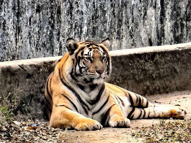 Dhaka & Beyond: A Cultural Odyssey