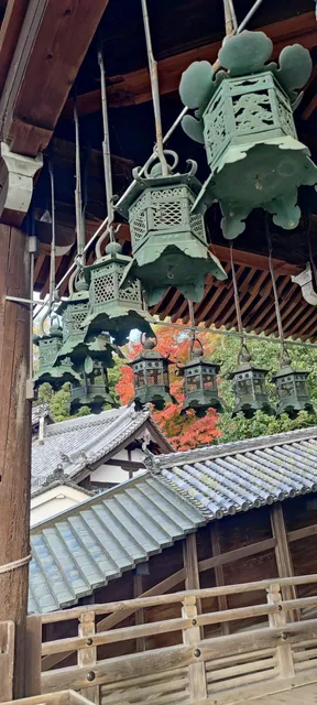 🍃 Kasuga Grand Shrine 🌸