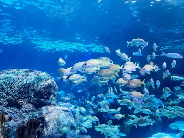 Toronto 1-Day Itinerary Guide