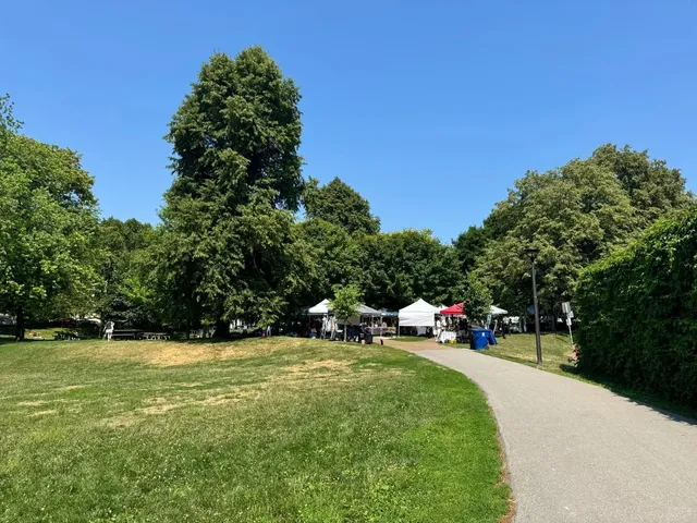 ​​🇨🇦 Elephant Man Mural & Market Exploration​​