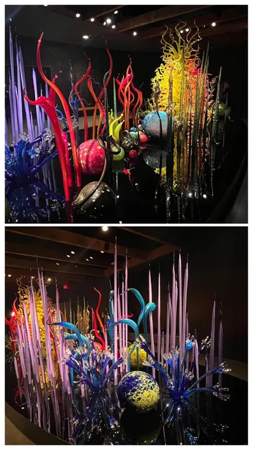  The Ultimate St. Pete Guide 