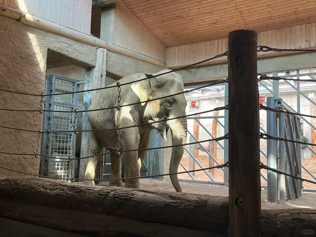 🇩🇪 Karlsruhe Zoo Adventure | A Wild Day Out! 🦁🐘🦩