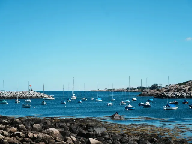 As Beautiful as an Oil Painting