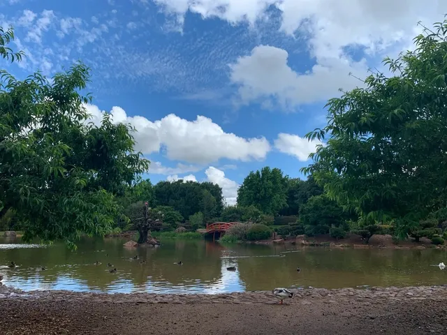 🌸 First Time in Toowoomba: A Solo Escape to the Japanese Garden
