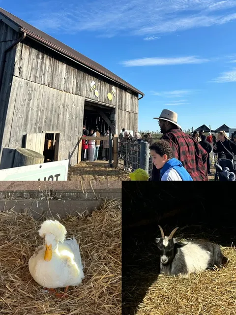 Toronto’s Pingle’s Farm Pumpkin Patch 🎃