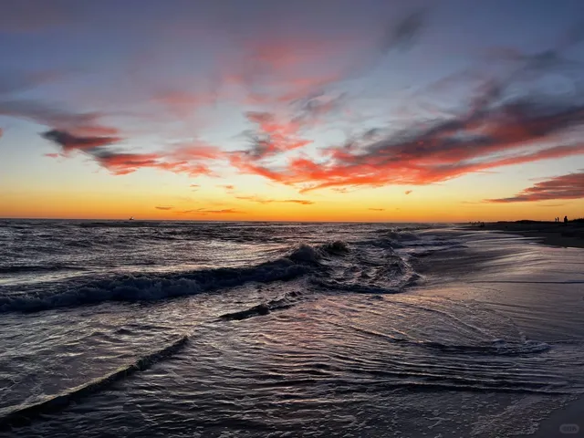 2024 Christmas Vacation | Oyster Hunt from Atlanta 🦪! Part 2