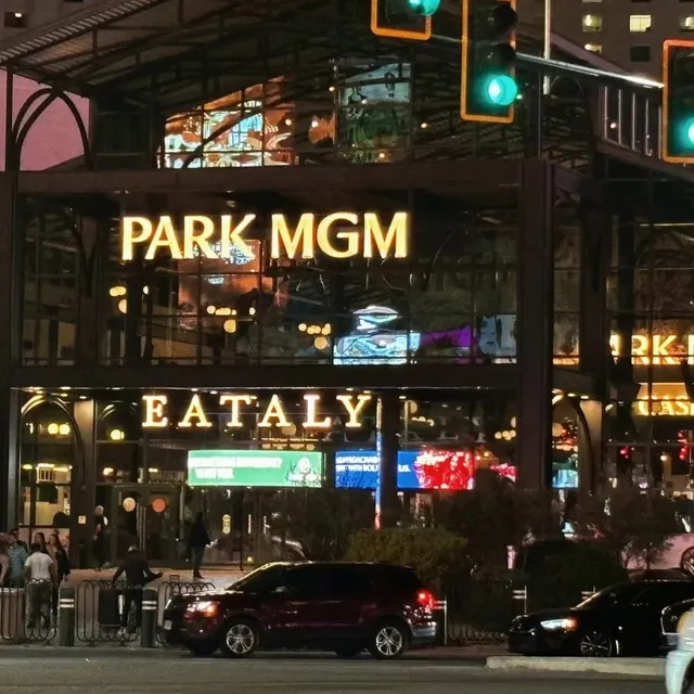 📍 Las Vegas Hotels | MGM Resorts Review 🎰✨