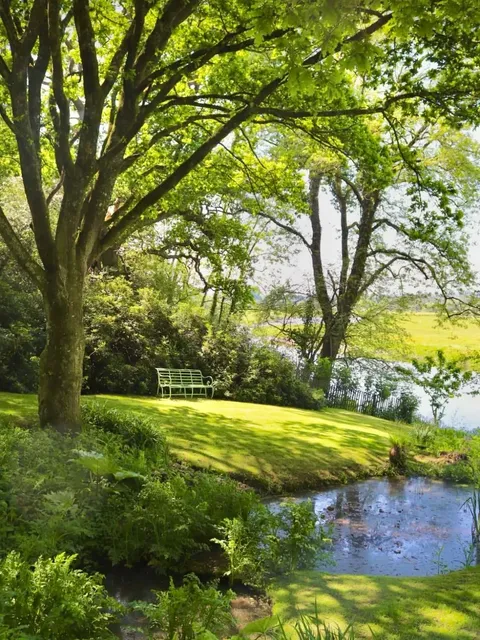 🇬🇧 ​​New Forest: London's Nearest Fairytale Escape!​​ 🌿✨