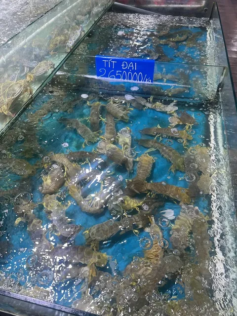 "Who Said Da Nang is Cheap?!" 😤💸