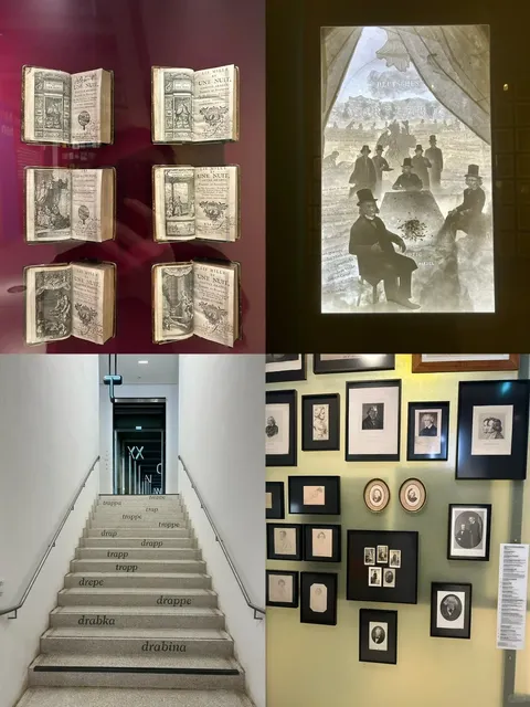 🇩🇪 Kassel Half-Day Solo Adventure ✨