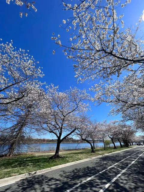 Runner’s Joy 🏃🌅