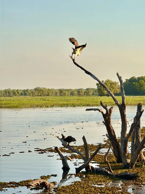 🇦🇺 3D2N Darwin & Kakadu Adventure Guide 🚙🌿