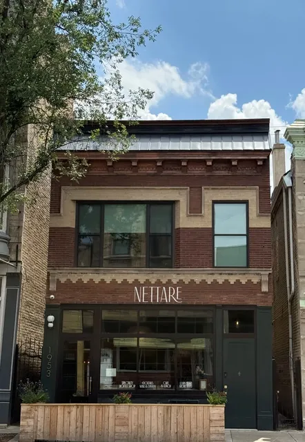 Chicago｜A Blissful Half-Day at Nettare ☀️