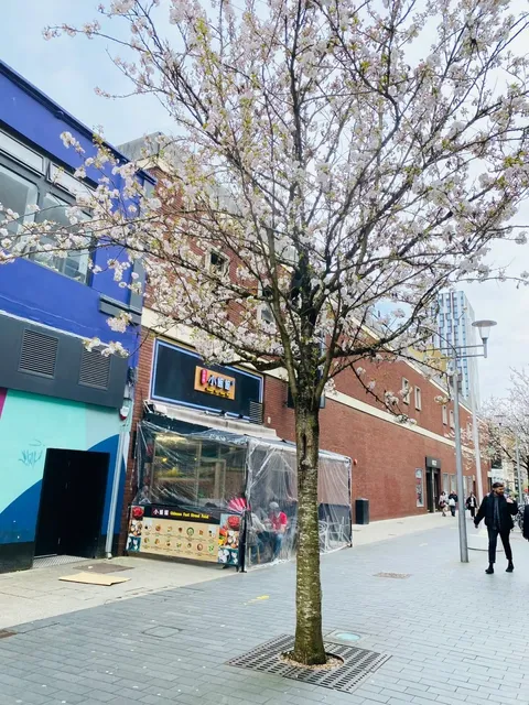 🏴󠁧󠁢󠁷󠁬󠁳󠁿 Cardiff Must-Eat: Little Rice House