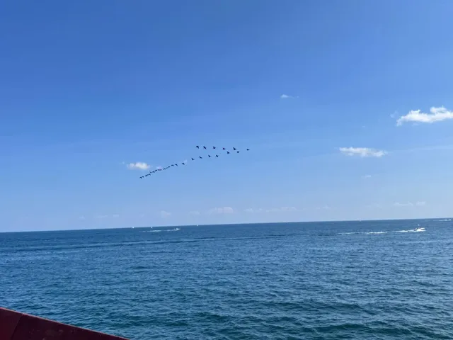 ​​Toronto Island Park - A Sunny But Overrated Escape ☀️​​