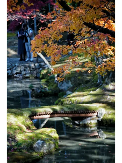 Saihō-ji, Kyoto, Japan🌸🌺