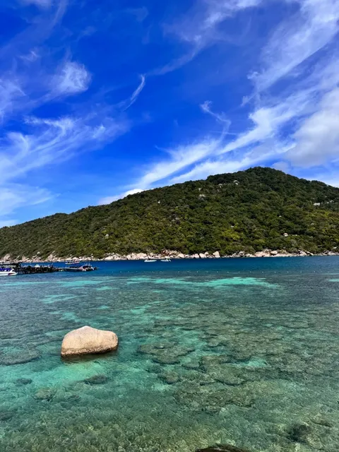 Koh Samui｜No-Filter Jelly Sea 🌊