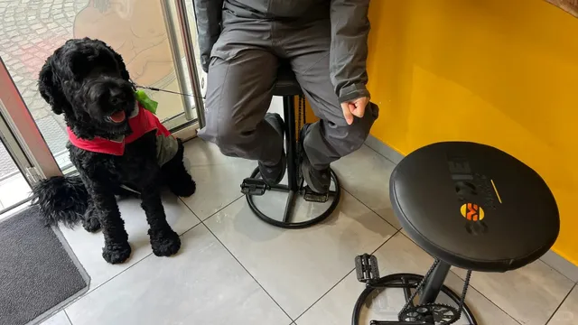 🇫🇷 Clermont-Ferrand City Walk: Where Gothic Meets Quirky