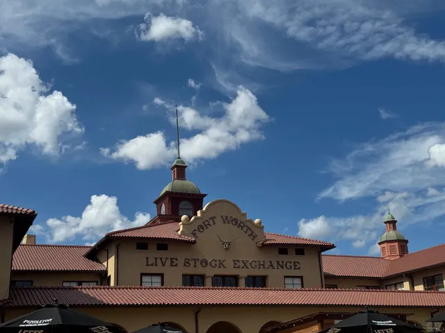 🌳 Fort Worth One-Day Itinerary 🤠