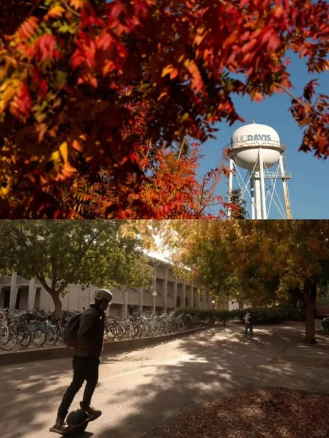 🍂 Best College Campuses for Fall Colors in Sacramento