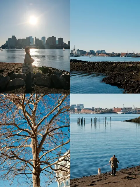 LoPresti Park｜Dopamine Comes in Blue 🌊