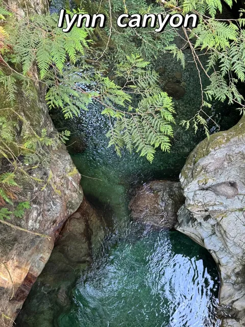 My Favorite Suspension Bridge in Vancouver is Lynn Canyon! 🌉