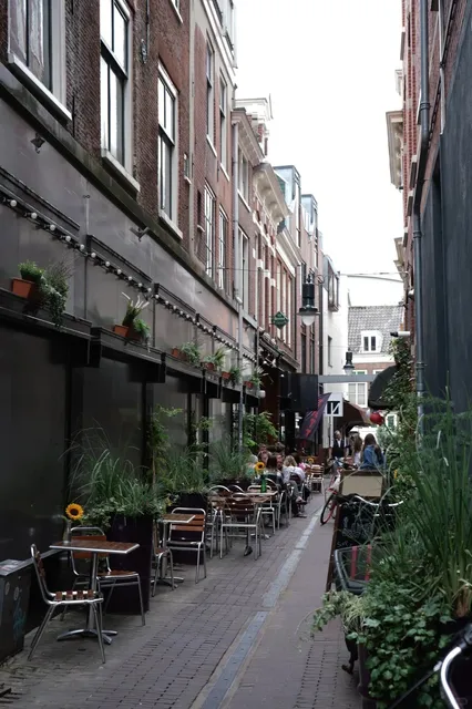 🇳🇱 Haarlem: The Perfect Dutch Escape for Your Soul