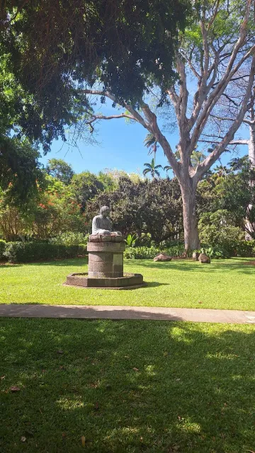 So Many Varieties of Palm Trees! 🌴