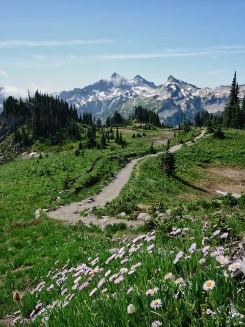 ​​Skyline Trail at Paradise, Mount Rainier | Heaven on Earth 🏔️🌿​​