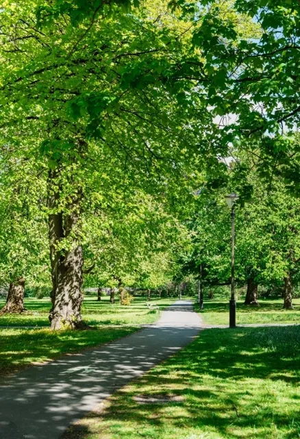 Gothenburg: Sunshine and Trees on the West Coast