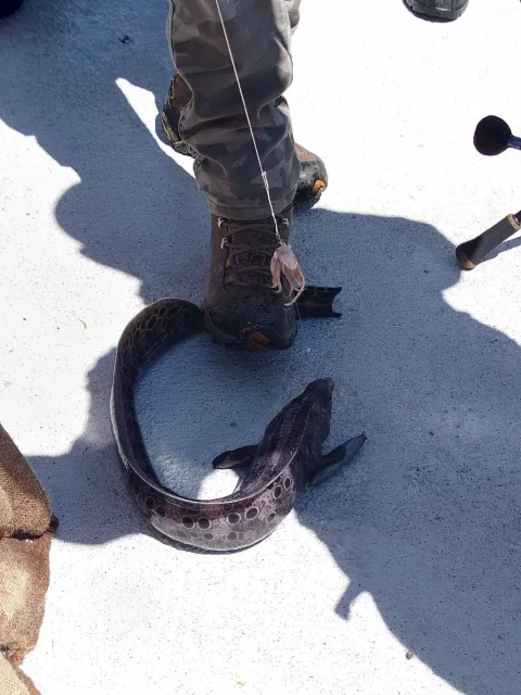 One of the Best in SoCal 