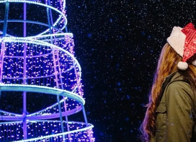 Pittsburgh Botanic Garden Luminous Nights 🌌