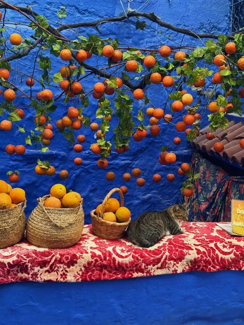 Encounter the Dreamy Blues of a North African Paradise 💙🌍（1）