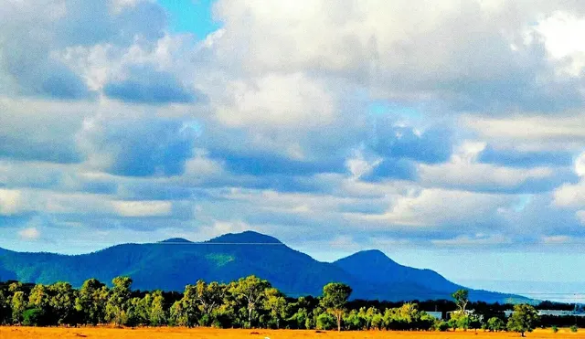 🇦🇺 Rockhampton - Australia's Beef Capital! 🥩🐄
