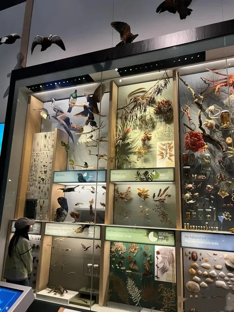 🇳🇿 Wellington LOTR Fan's Ultimate Guide 🤩