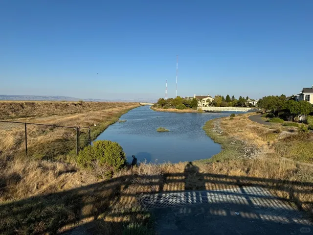 Scenic Foster City Loop + Redwood Shores Ride 🚴‍♂️🌅
